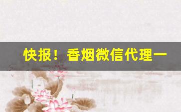 快报！香烟微信代理一手货源到付推荐“白衣仙人”