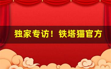 独家专访！铁塔猫官方微信号“箪食壶浆”
