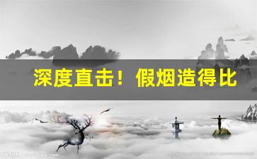 深度直击！假烟造得比真烟还真的地方“鼎力扶持”