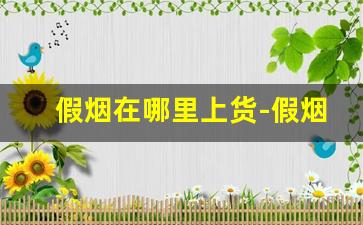 假烟在哪里上货-假烟打12313有用吗