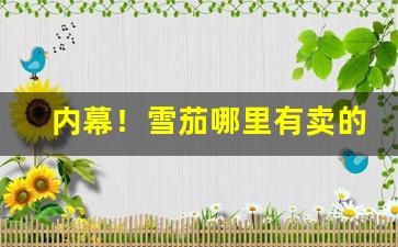 内幕！雪茄哪里有卖的“共挽鹿车”
