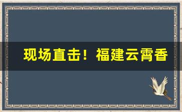 现场直击！福建云霄香烟一手批发货源“功德无量”