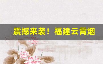震撼来袭！福建云霄烟草市场“淡妆轻抹”