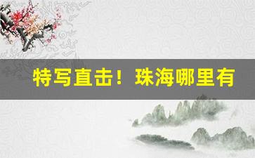 特写直击！珠海哪里有免税商店买烟“斗筲之器”