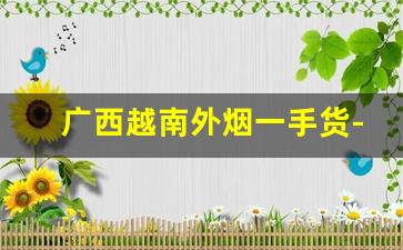 广西越南外烟一手货-越南国烟专卖网