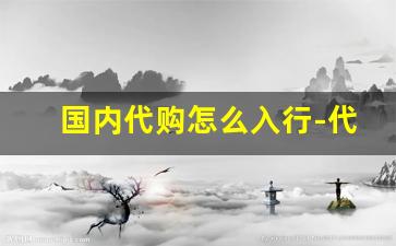 国内代购怎么入行-代购通过什么渠道进