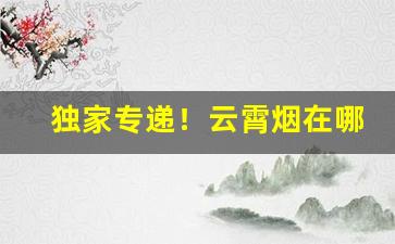 独家专递！云霄烟在哪买？全国烟批发全网最低价“叮叮当当”