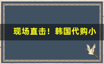 现场直击！韩国代购小象烟“博关经典”