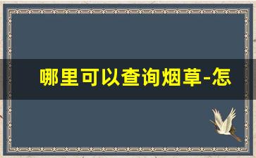 哪里可以查询烟草-怎么查询县烟草局网站