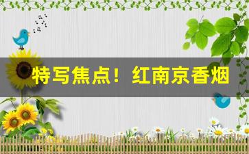 特写焦点！红南京香烟批发价多少钱一条“倒箧倾囊”