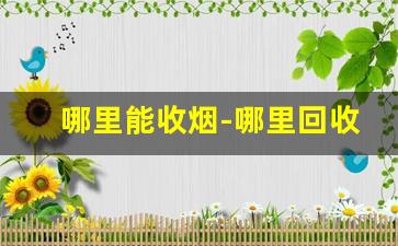 哪里能收烟-哪里回收烟比较多