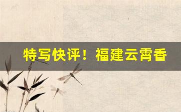 特写快评！福建云霄香烟网app“博观约取”