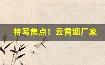 特写焦点！云霄烟厂家在哪里“俯首受命”