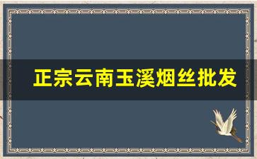 正宗云南玉溪烟丝批发-正宗云南烟丝直营店