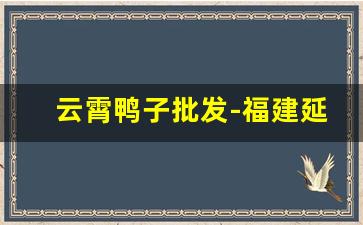 云霄鸭子批发-福建延平鸭子批发供应商