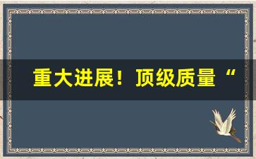 重大进展！顶级质量“沉冤昭雪”