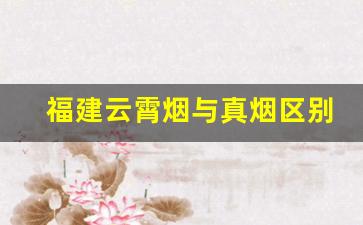福建云霄烟与真烟区别