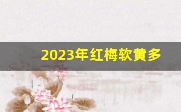 2023年红梅软黄多少钱一包-红梅多少钱一包黄色包装软包