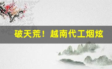 破天荒！越南代工烟炫赫门“公婿公孙”