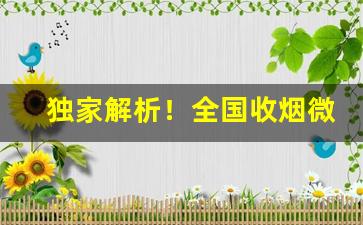 独家解析！全国收烟微信群“鞭长不及马腹”