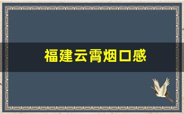福建云霄烟口感