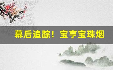 幕后追踪！宝亨宝珠烟多少钱一包“抱朴守真”