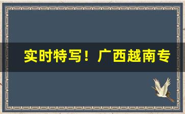 实时特写！广西越南专供出口香烟“乘龙快婿”