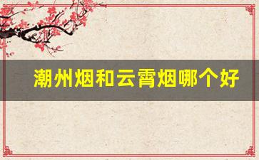 潮州烟和云霄烟哪个好-云霄烟100一包的有哪些
