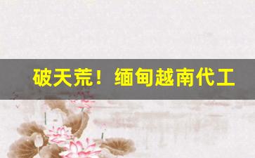 破天荒！缅甸越南代工细支香烟批发“代马依北风”