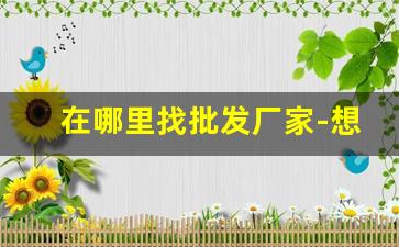 在哪里找批发厂家-想批发货源到哪里找厂家