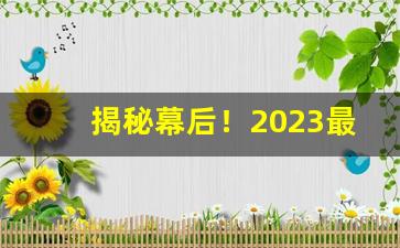 揭秘幕后！2023最低价格的烟图片“而立之年”