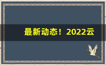 最新动态！2022云霄香烟一手货源厂家直销批发“百花生日”