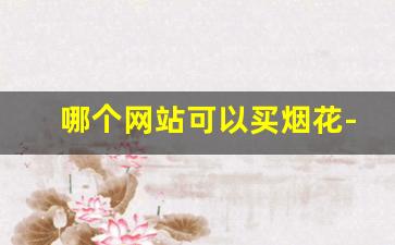 哪个网站可以买烟花-烟花正规店