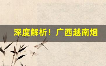 深度解析！广西越南烟批发价格“避世金马”