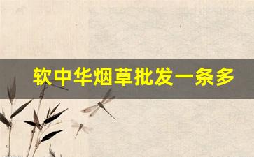 软中华烟草批发一条多少钱-软中华烟草价格表大全