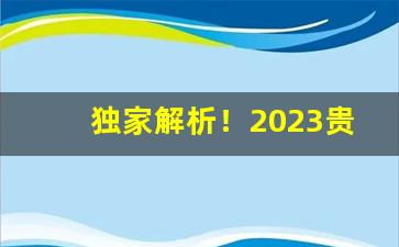 独家解析！2023贵烟全部系列图“不避汤火”