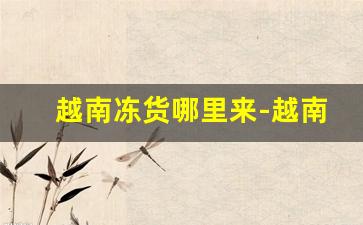 越南冻货哪里来-越南冻货进口流程大揭秘 