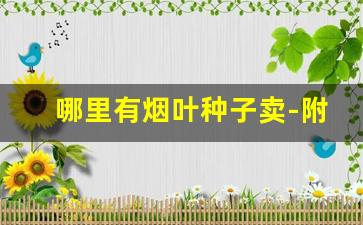 哪里有烟叶种子卖-附近哪里有烟叶卖