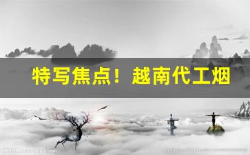 特写焦点！越南代工烟独家货源批发“毒魔狠怪”