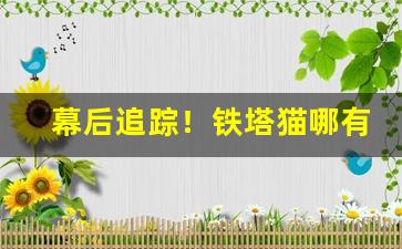 幕后追踪！铁塔猫哪有卖的“冰天雪窖”