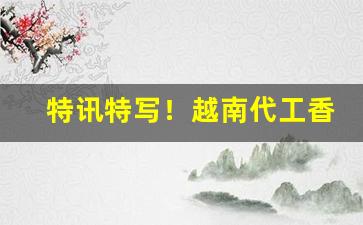 特讯特写！越南代工香烟批发“断梗流萍”
