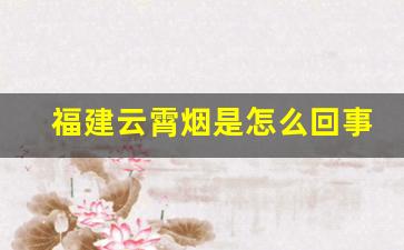 福建云霄烟是怎么回事