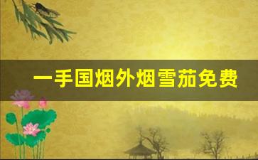 一手国烟外烟雪茄免费代理-烟店可以买到单支雪茄吗