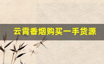 云霄香烟购买一手货源-云霄香烟哪里靠谱