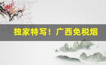 独家特写！广西免税烟一手“独出己见”