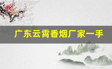 广东云霄香烟厂家一手货源