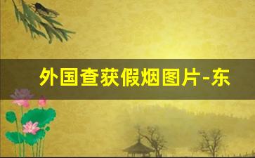 外国查获假烟图片-东南亚假烟案件