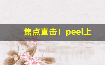 焦点直击！peel上海能买到吗“摛藻雕章”