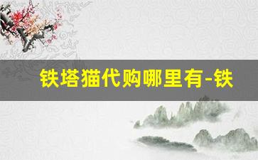 铁塔猫代购哪里有-铁塔猫哪里买的