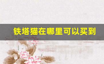 铁塔猫在哪里可以买到-去哪里可以买到铁塔猫正品